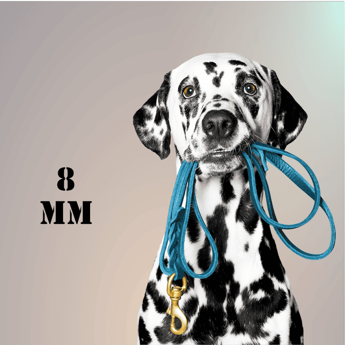 Pettrailer Lederleine 8