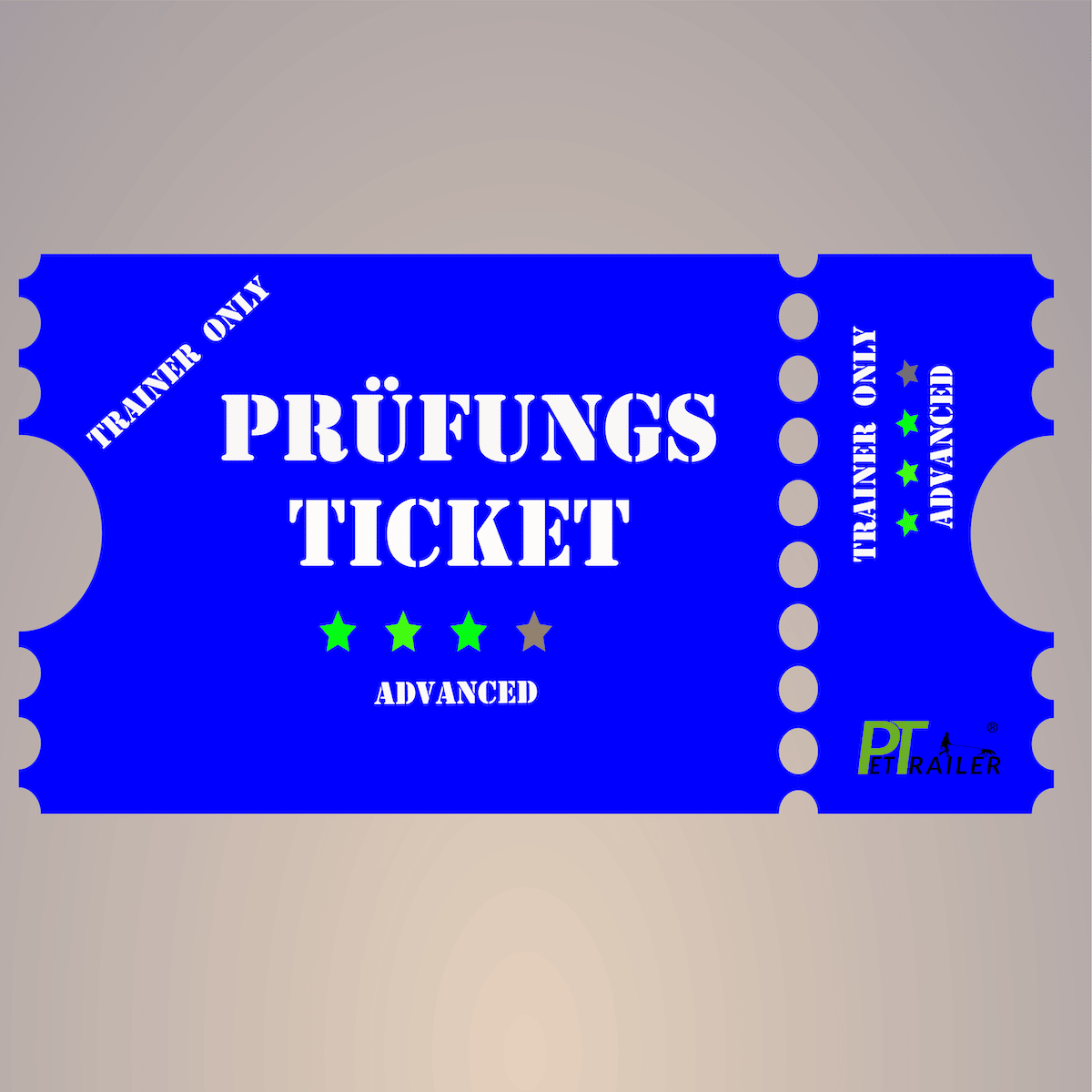 Prüfungsticket Advanced