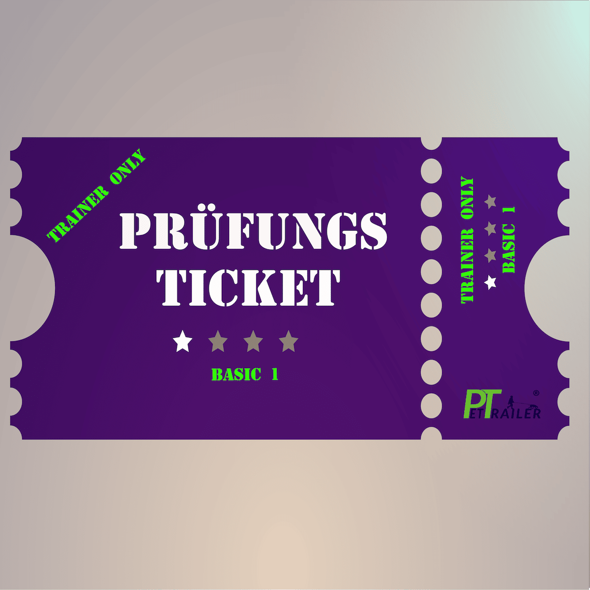 Prüfungsticket Basic 1
