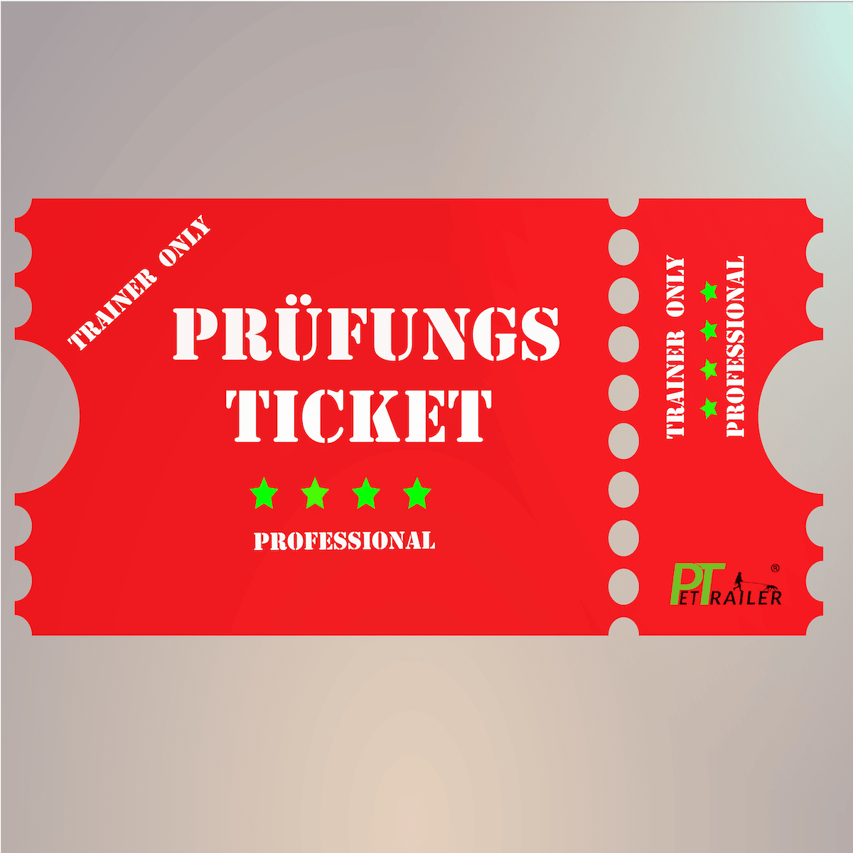 Prüfungsticket Professional