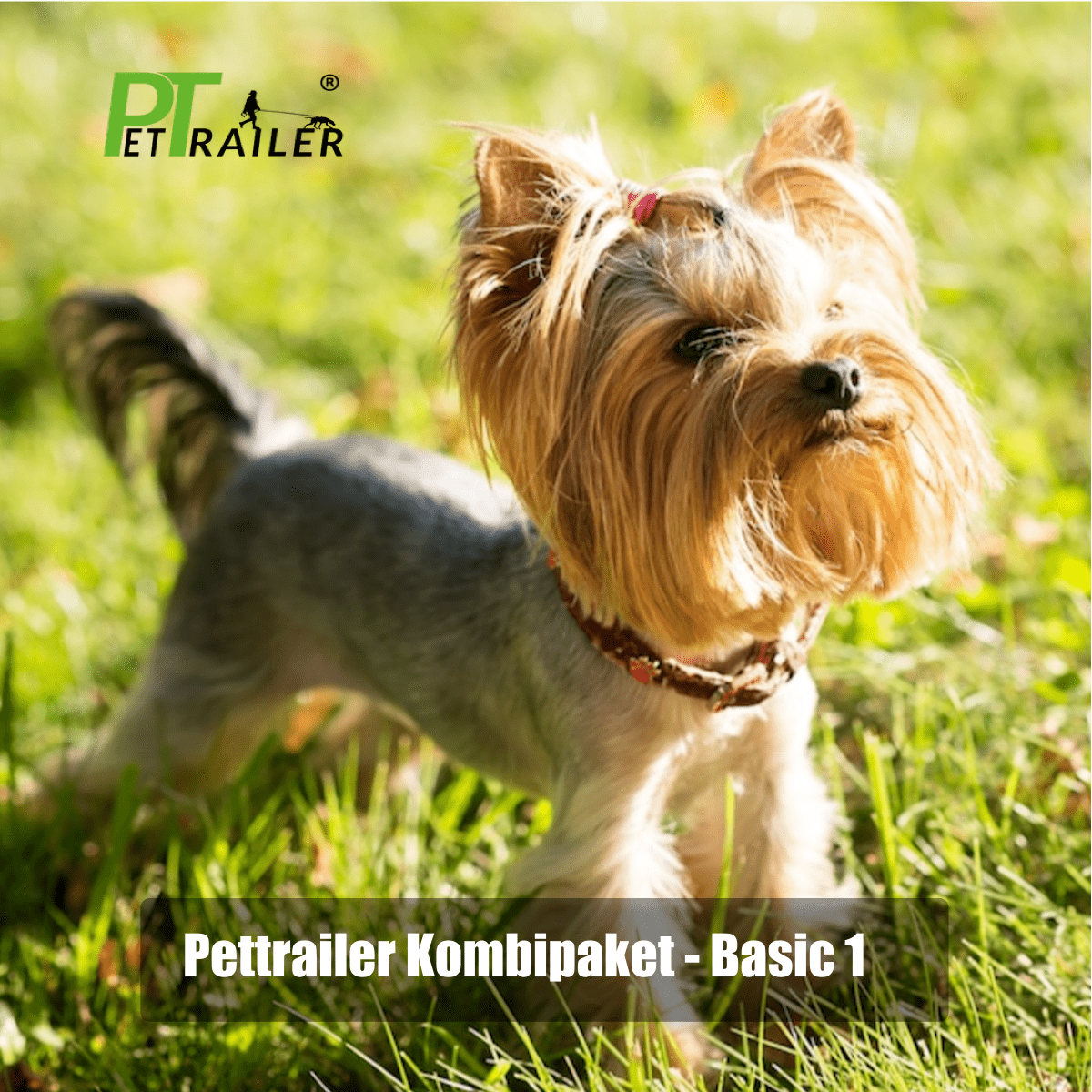 Pettrailer Kombipaket - Basic 1