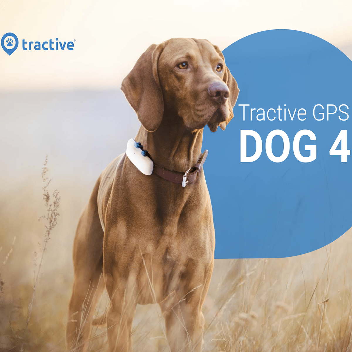 Tractive GPS Tracker